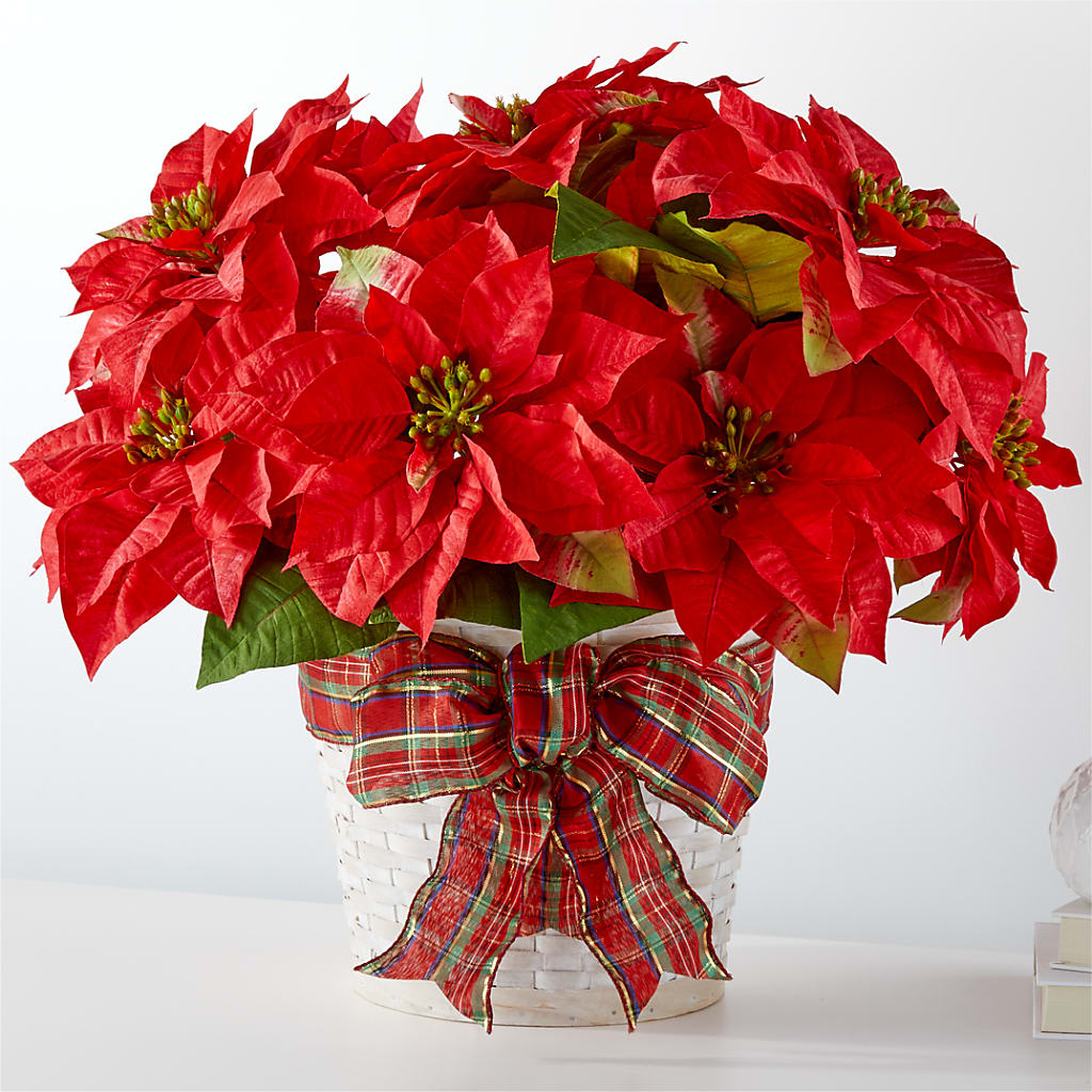 Happiest Holidays Poinsettia – Castalia Flower Shoppe, Castalia OH