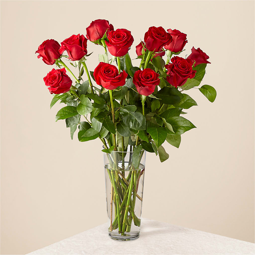 Long Stem Red Rose Bouquet – Castalia Flower Shoppe, Castalia OH
