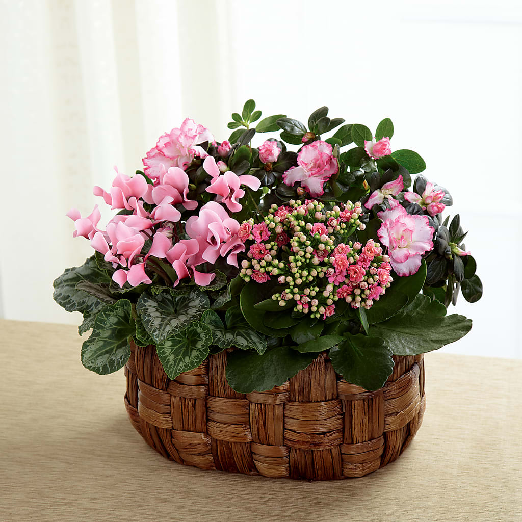 Pink Assortment – Castalia Flower Shoppe, Castalia OH