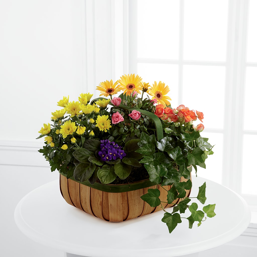 Gentle Blossoms Basket – Castalia Flower Shoppe, Castalia OH
