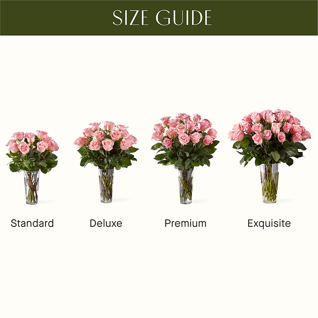 Long Stem Pink Rose Bouquet – Castalia Flower Shoppe, Castalia OH