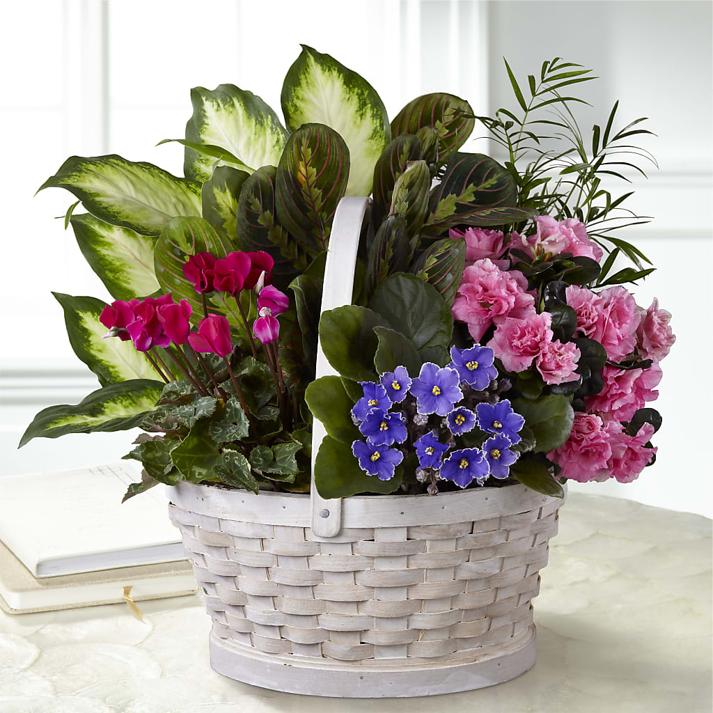 Peaceful Garden Planter – Castalia Flower Shoppe, Castalia OH