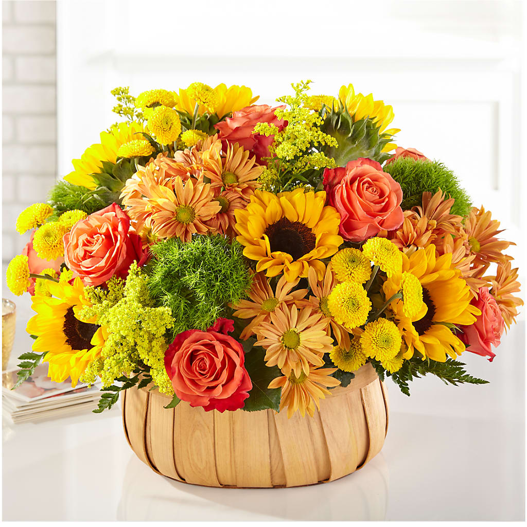 Harvest Sunflower Basket – Castalia Flower Shoppe, Castalia OH