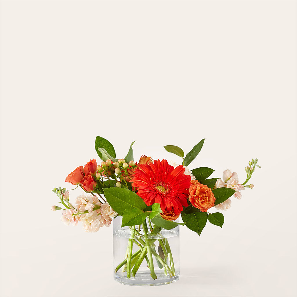 Paloma Please Bouquet – Castalia Flower Shoppe, Castalia OH