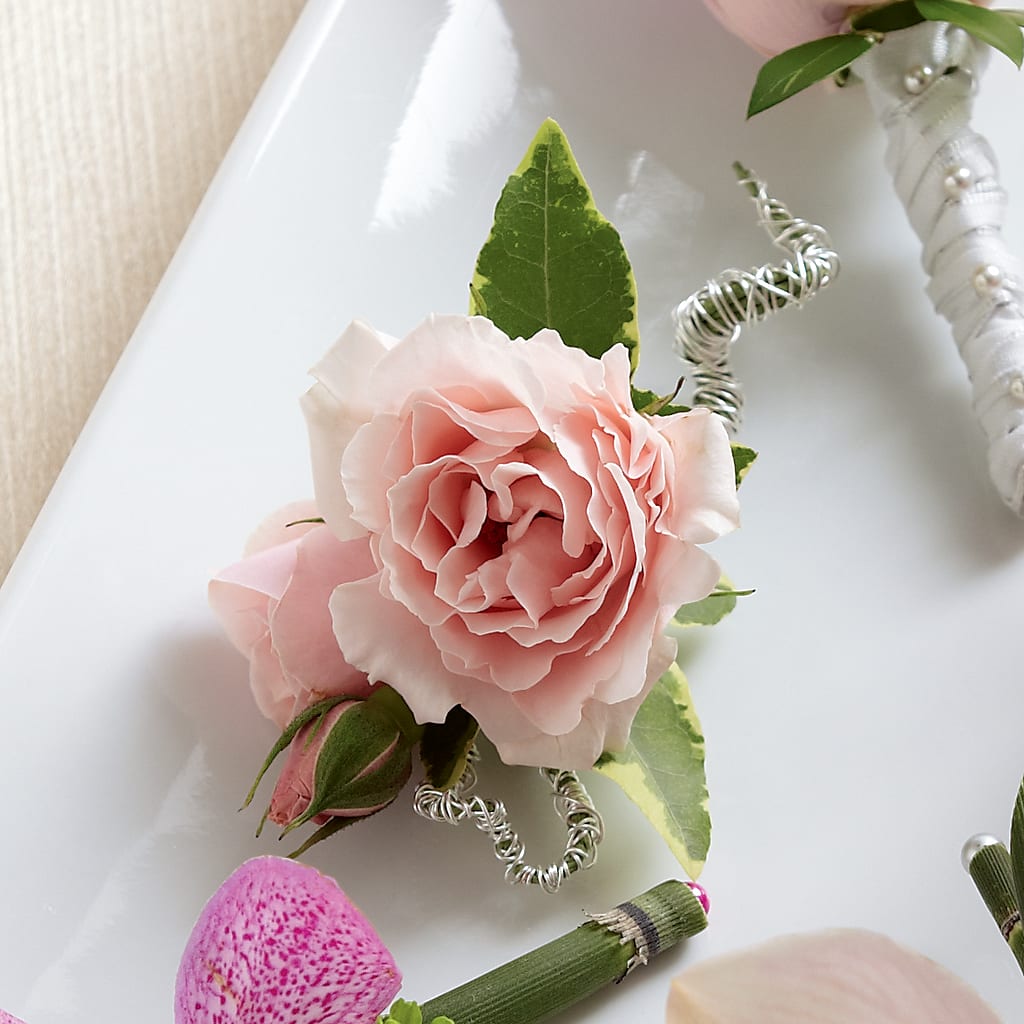 Pink Spray Rose Boutonniere – Castalia Flower Shoppe, Castalia OH