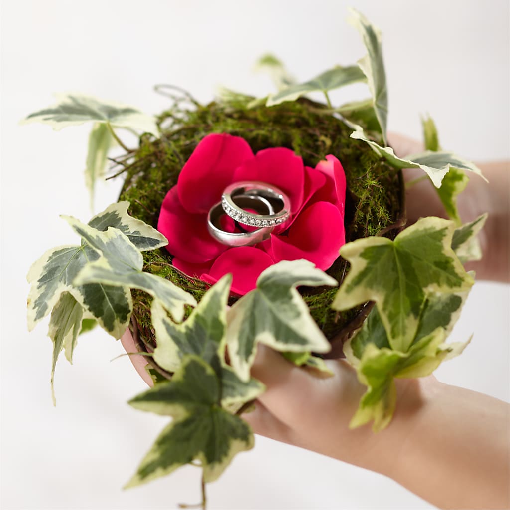 Lila Rose Ring Nest – Castalia Flower Shoppe, Castalia OH