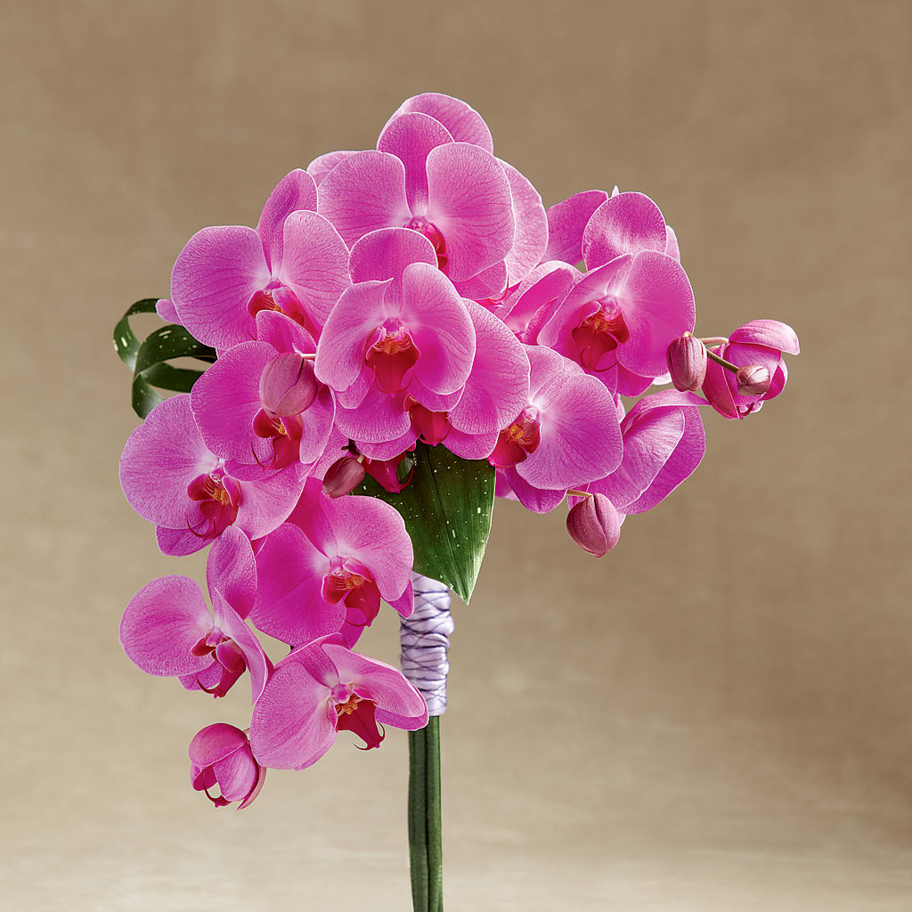Glorious Bouquet – Castalia Flower Shoppe, Castalia OH