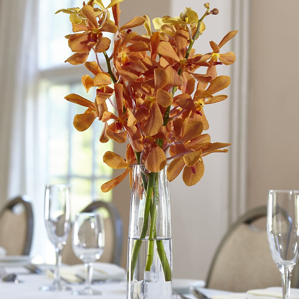 Orange Mokara Bud Vase – Castalia Flower Shoppe, Castalia OH