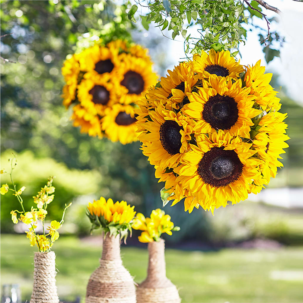 Sublime Garden Hanging Arrangement – Castalia Flower Shoppe, Castalia OH