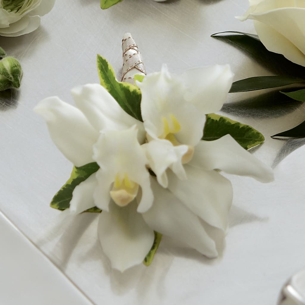 White Mini Cymbidium Boutonniere – Castalia Flower Shoppe, Castalia OH