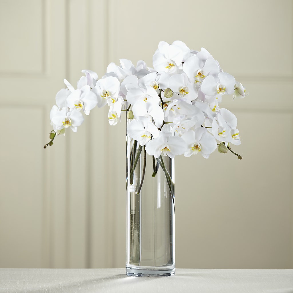 White Phalaenopsis Bouquet – Castalia Flower Shoppe, Castalia OH