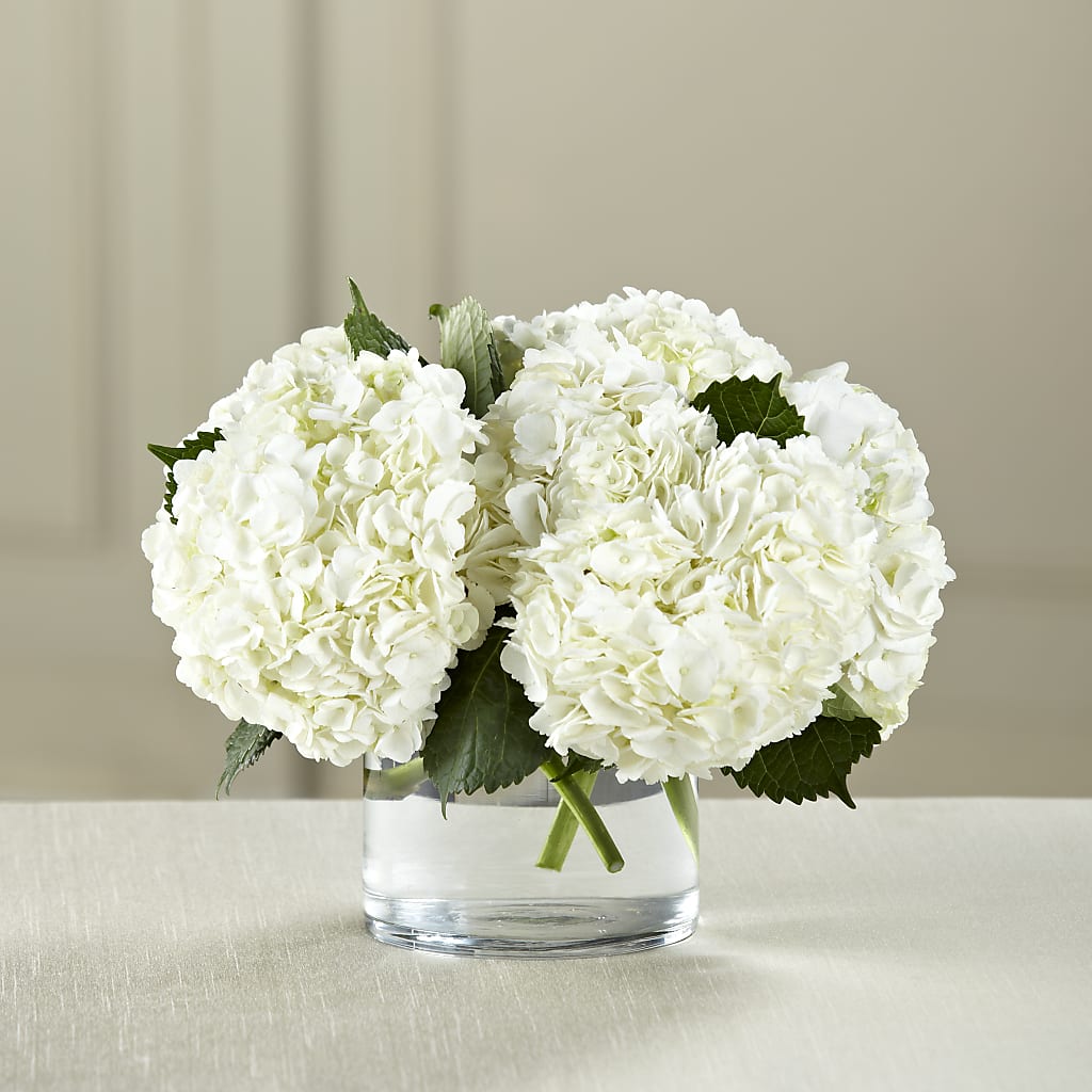 White Hydrangea Bouquet – Castalia Flower Shoppe, Castalia OH