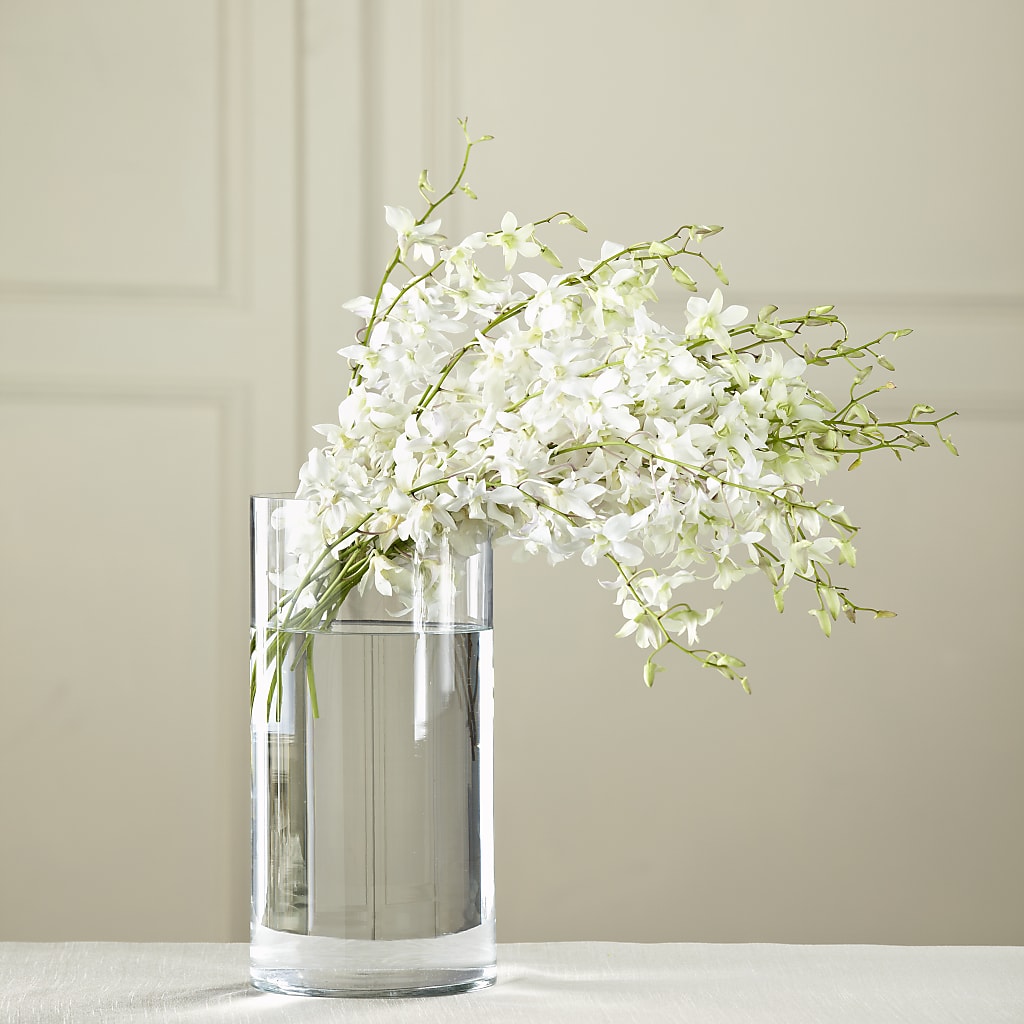 White Dendrobium Bouquet – Castalia Flower Shoppe, Castalia OH