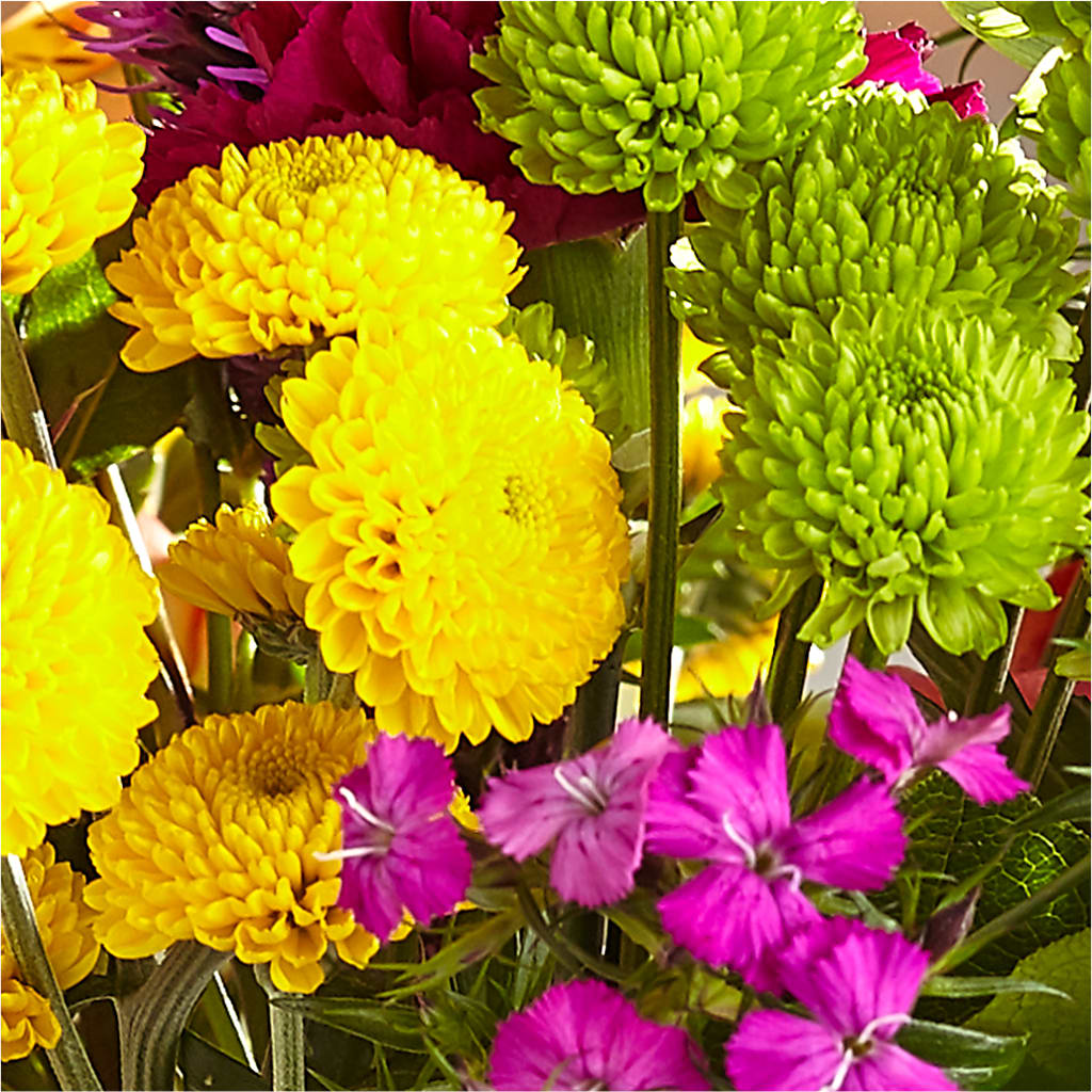 Bold & Bright – A Florist Original –  Castalia Flower Shoppe, Castalia OH