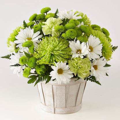 Lucky Charm Basket (Standard) –  Castalia Flower Shoppe, Castalia OH