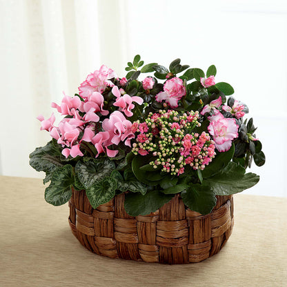 Pink Assortment –  Castalia Flower Shoppe, Castalia OH