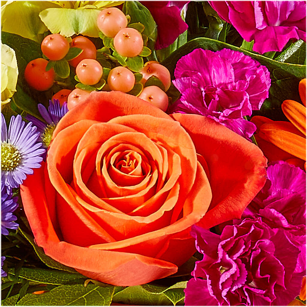 Tricks & Treats Pumpkin –  Castalia Flower Shoppe, Castalia OH