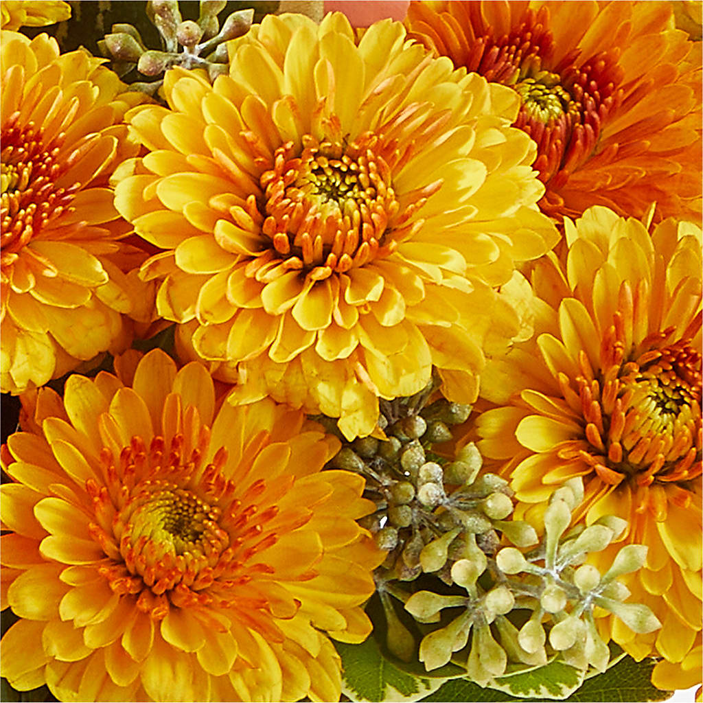 Peachy Pumpkin –  Castalia Flower Shoppe, Castalia OH