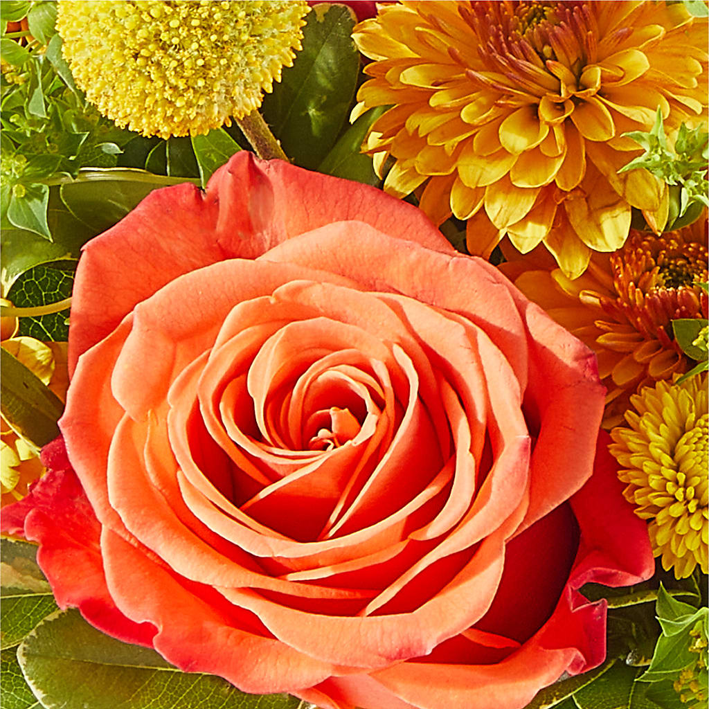 Gourdgeous Pumpkin –  Castalia Flower Shoppe, Castalia OH