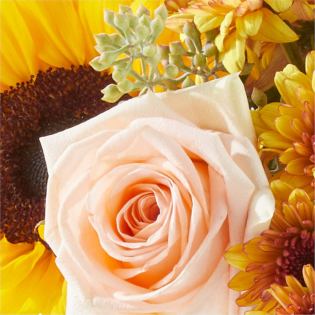 Pumpkin to Talk About Bouquet –  Castalia Flower Shoppe, Castalia OH