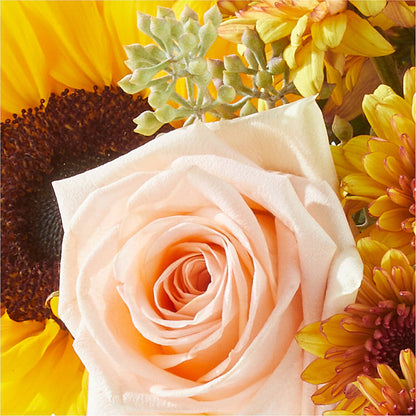Pumpkin to Talk About Bouquet –  Castalia Flower Shoppe, Castalia OH