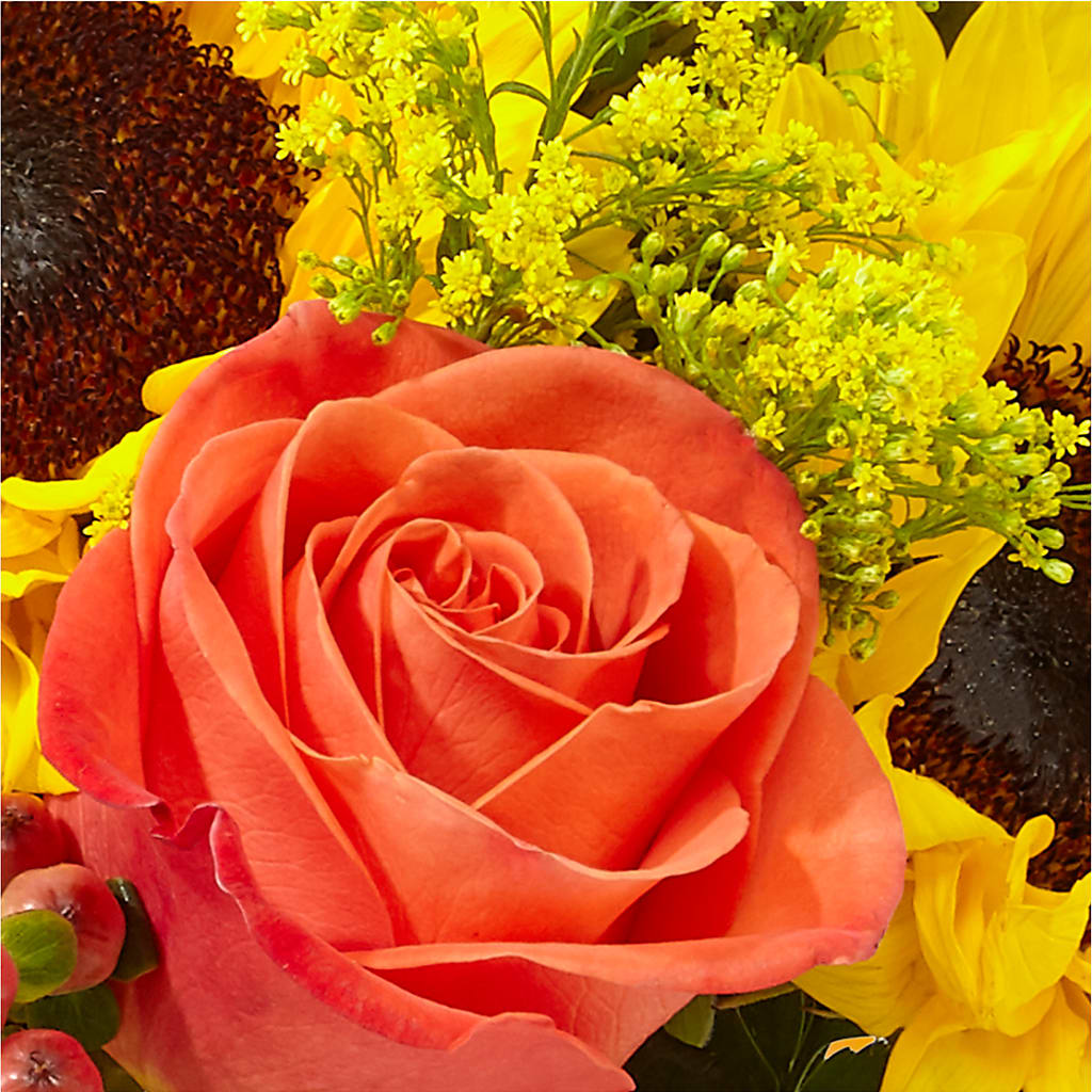 Pick of the Patch Pumpkin Bouquet –  Castalia Flower Shoppe, Castalia OH