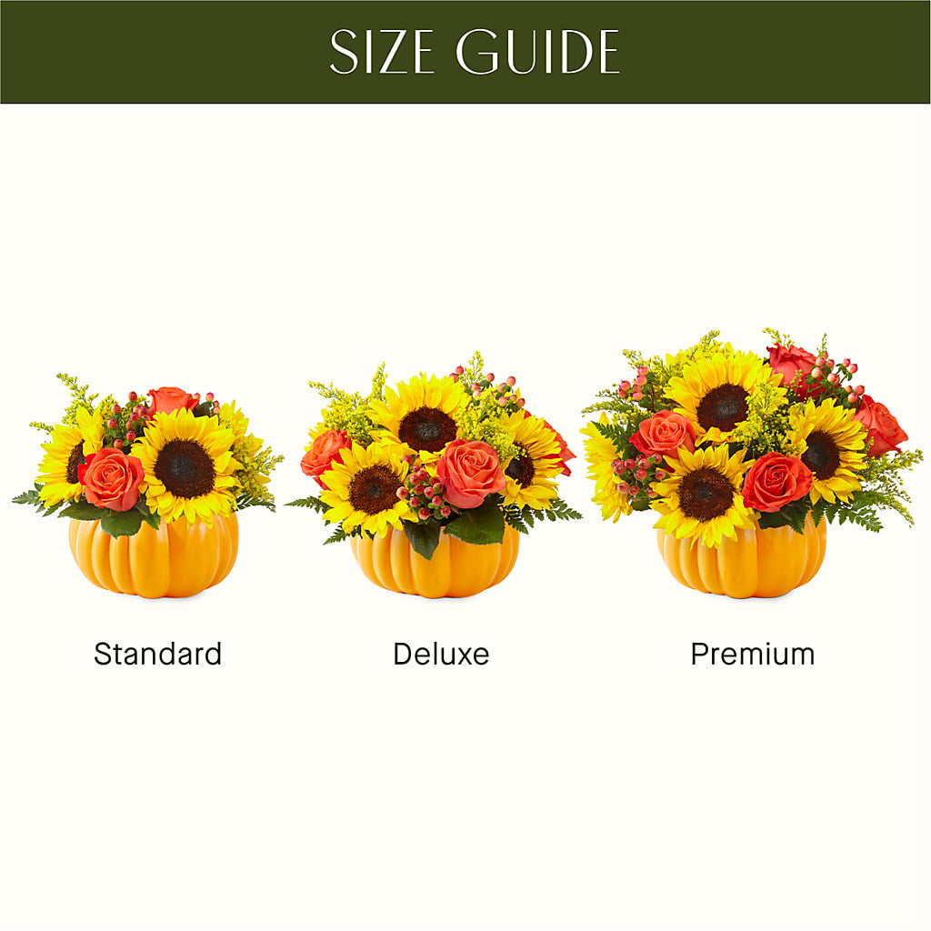 Pick of the Patch Pumpkin Bouquet –  Castalia Flower Shoppe, Castalia OH