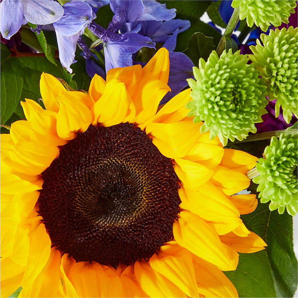 Catching Rays Bouquet –  Castalia Flower Shoppe, Castalia OH