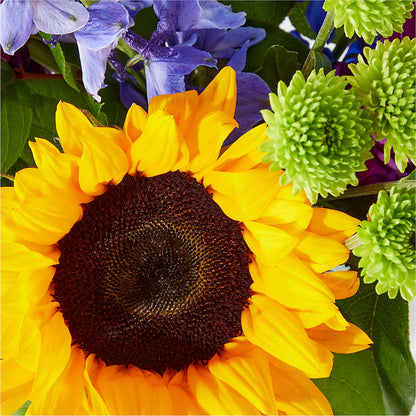 Catching Rays Bouquet –  Castalia Flower Shoppe, Castalia OH