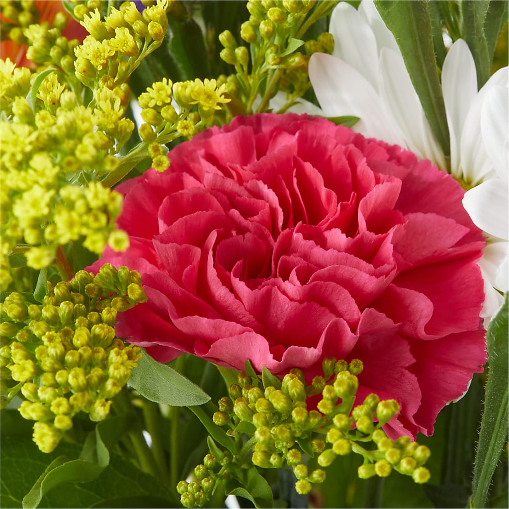 Oopsie Daisy Bouquet –  Castalia Flower Shoppe, Castalia OH