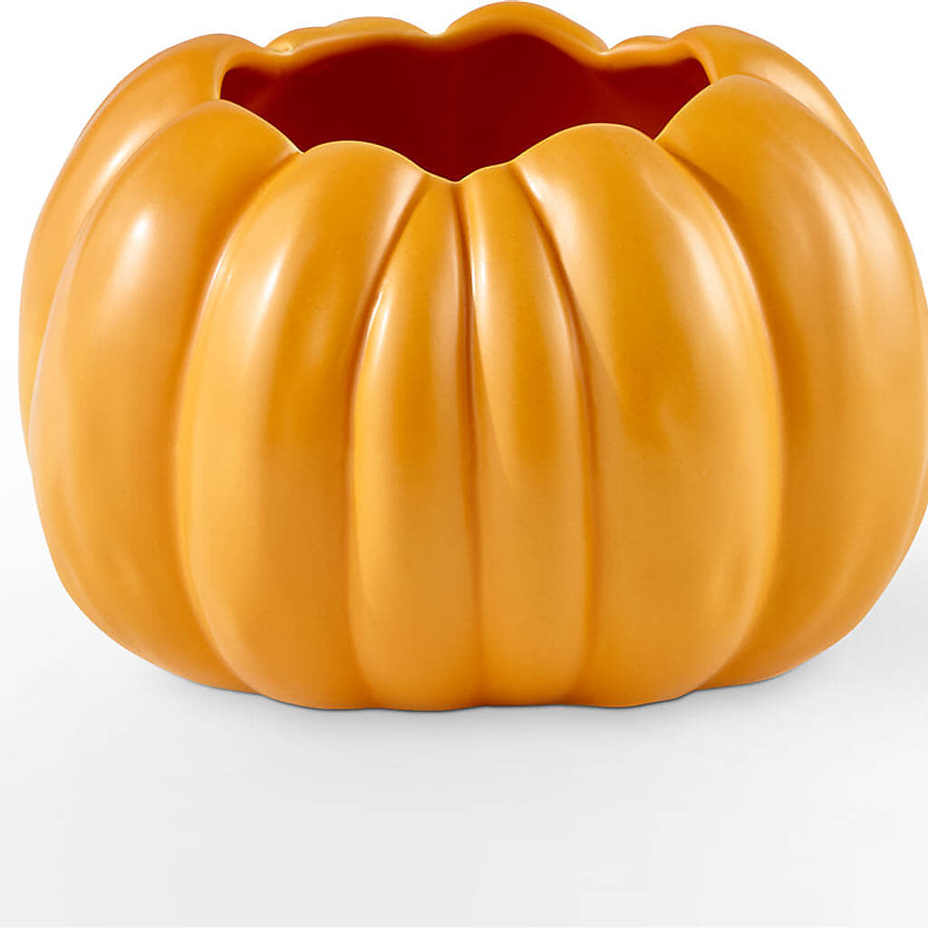 Golden Gourd Pumpkin Bouquet –  Castalia Flower Shoppe, Castalia OH