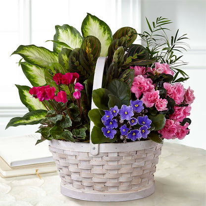 Peaceful Garden Planter –  Castalia Flower Shoppe, Castalia OH