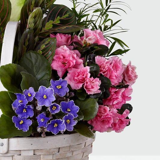 Peaceful Garden Planter –  Castalia Flower Shoppe, Castalia OH