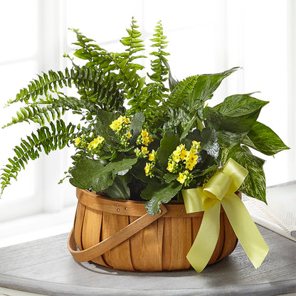 Always Dear Dishgarden –  Castalia Flower Shoppe, Castalia OH