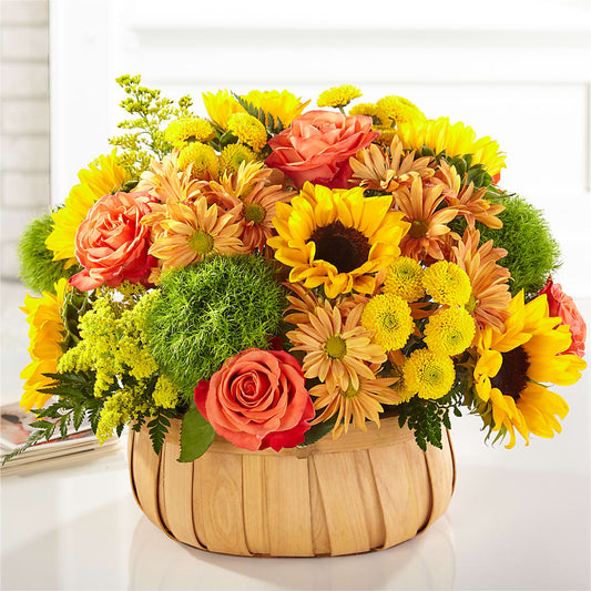 Harvest Sunflower Basket –  Castalia Flower Shoppe, Castalia OH