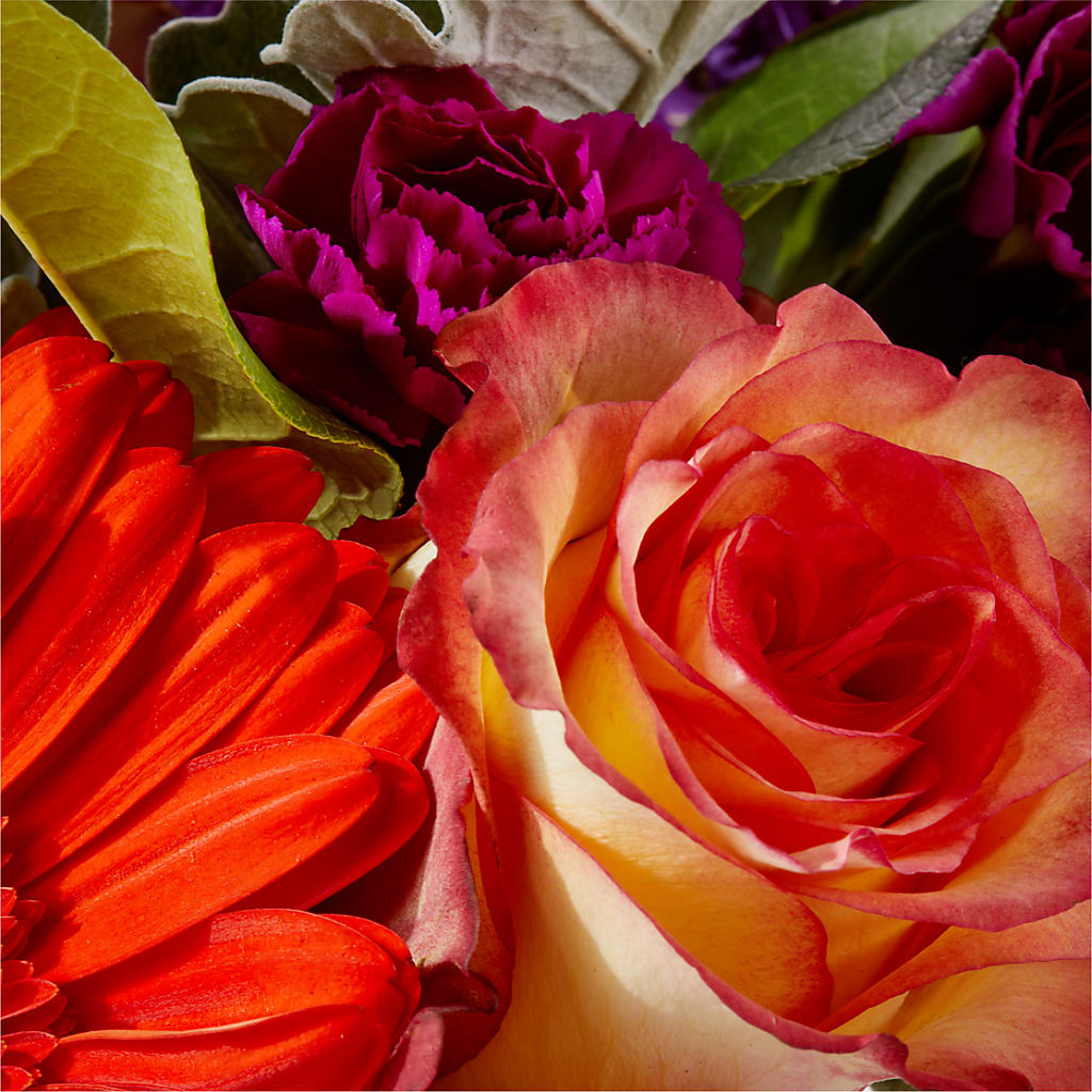 Sangria Bouquet –  Castalia Flower Shoppe, Castalia OH