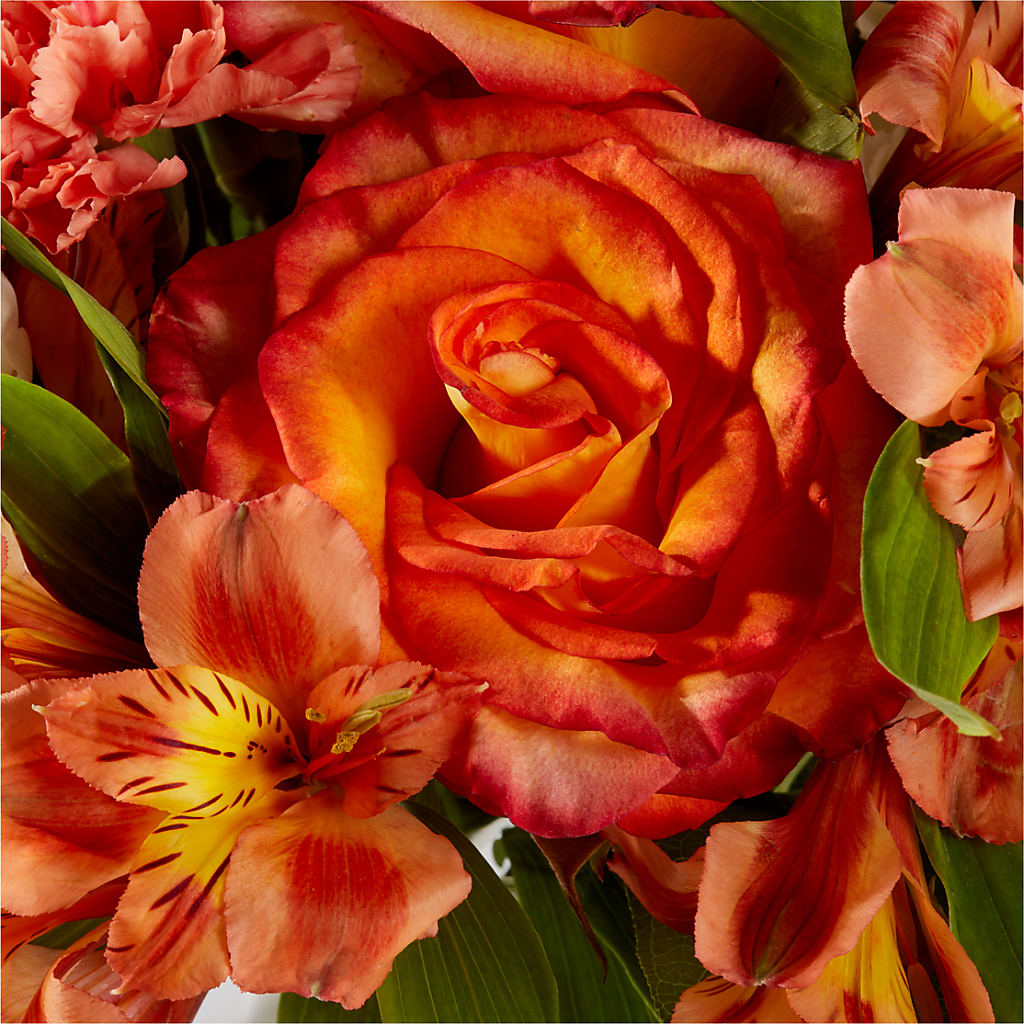 Apricot Glow Bouquet –  Castalia Flower Shoppe, Castalia OH