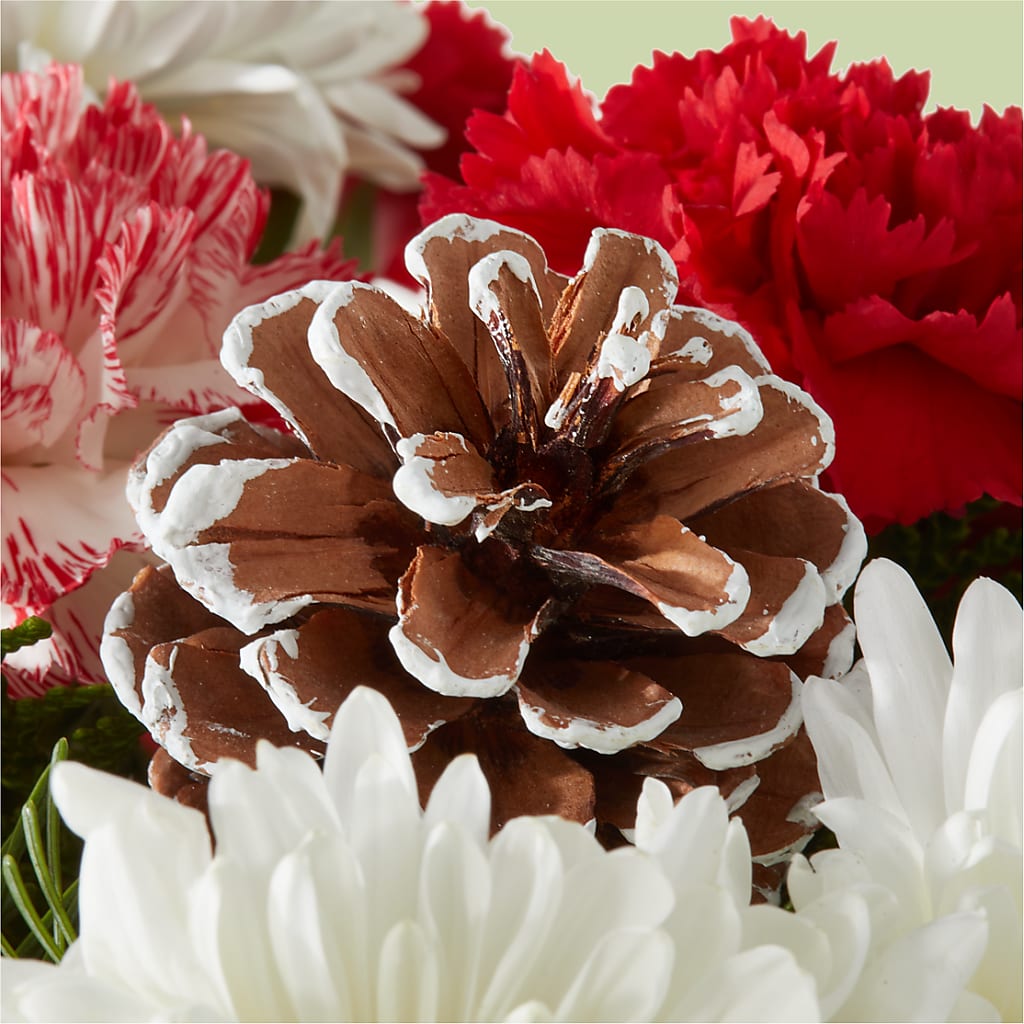 Candy Cane Lane Bouquet –  Castalia Flower Shoppe, Castalia OH
