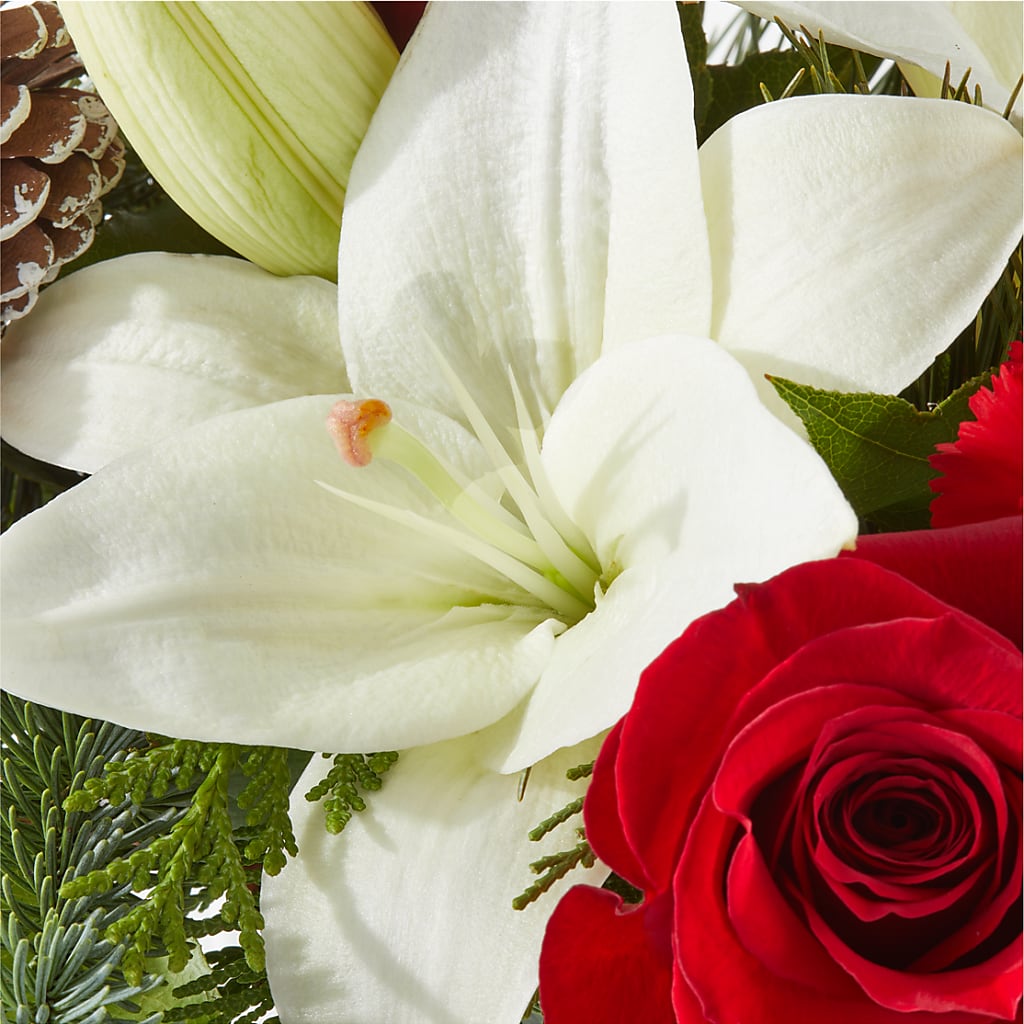 Oh So Jolly Bouquet –  Castalia Flower Shoppe, Castalia OH