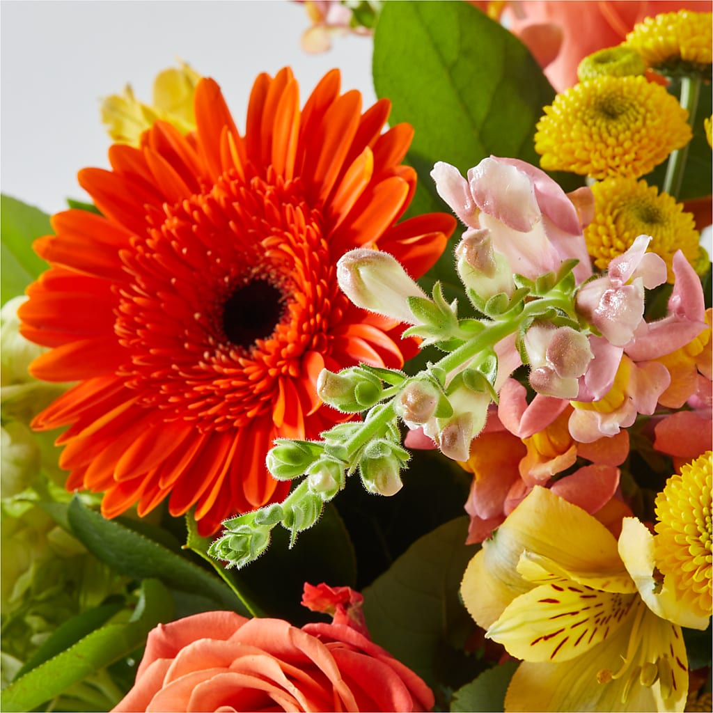 Autumn Sunshine Bouquet –  Castalia Flower Shoppe, Castalia OH