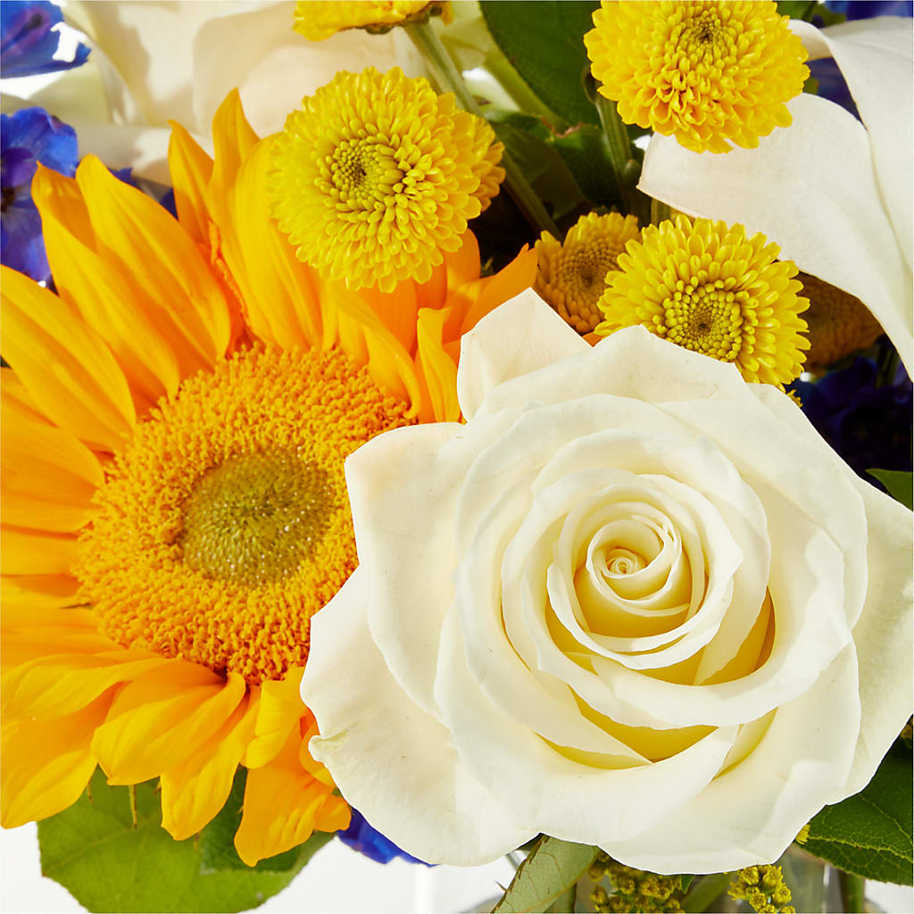 Stargazing Bouquet –  Castalia Flower Shoppe, Castalia OH