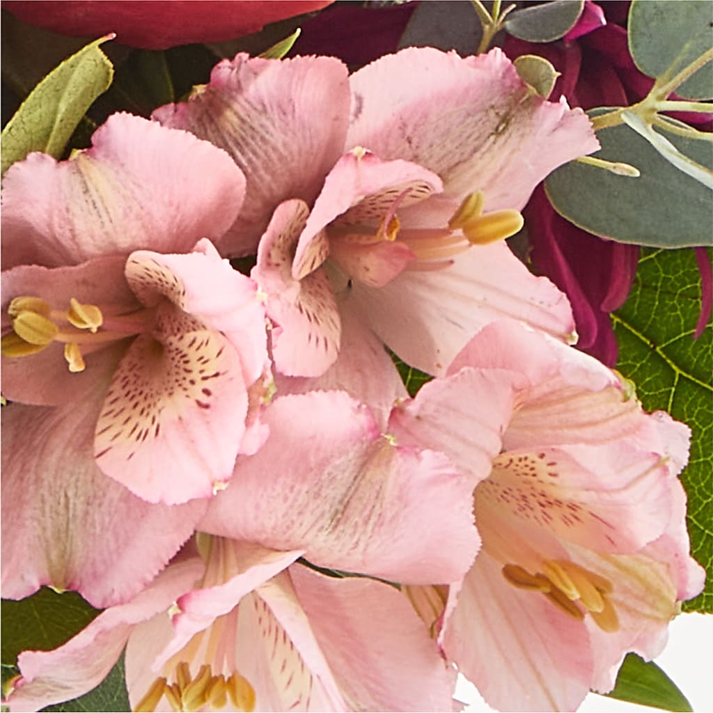 Berry Cobbler Bouquet –  Castalia Flower Shoppe, Castalia OH