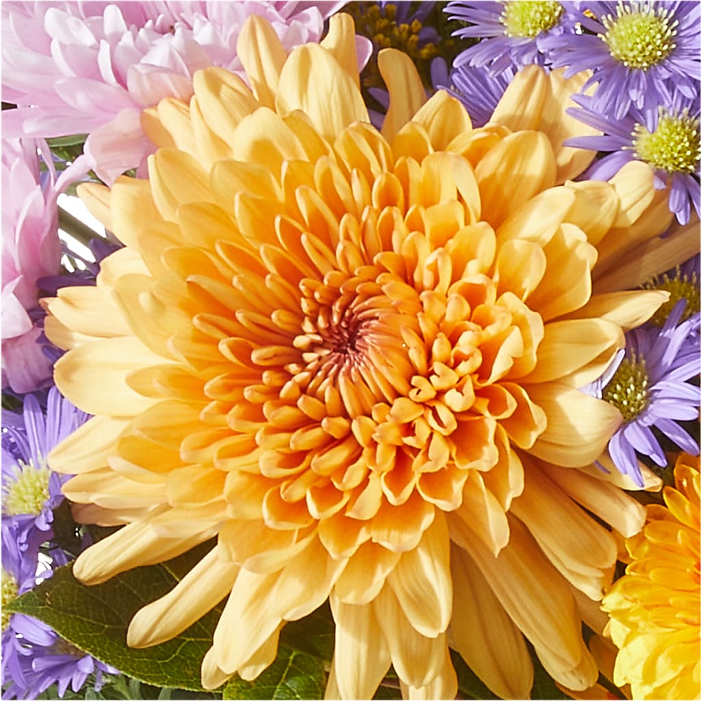 Countryside Bouquet –  Castalia Flower Shoppe, Castalia OH