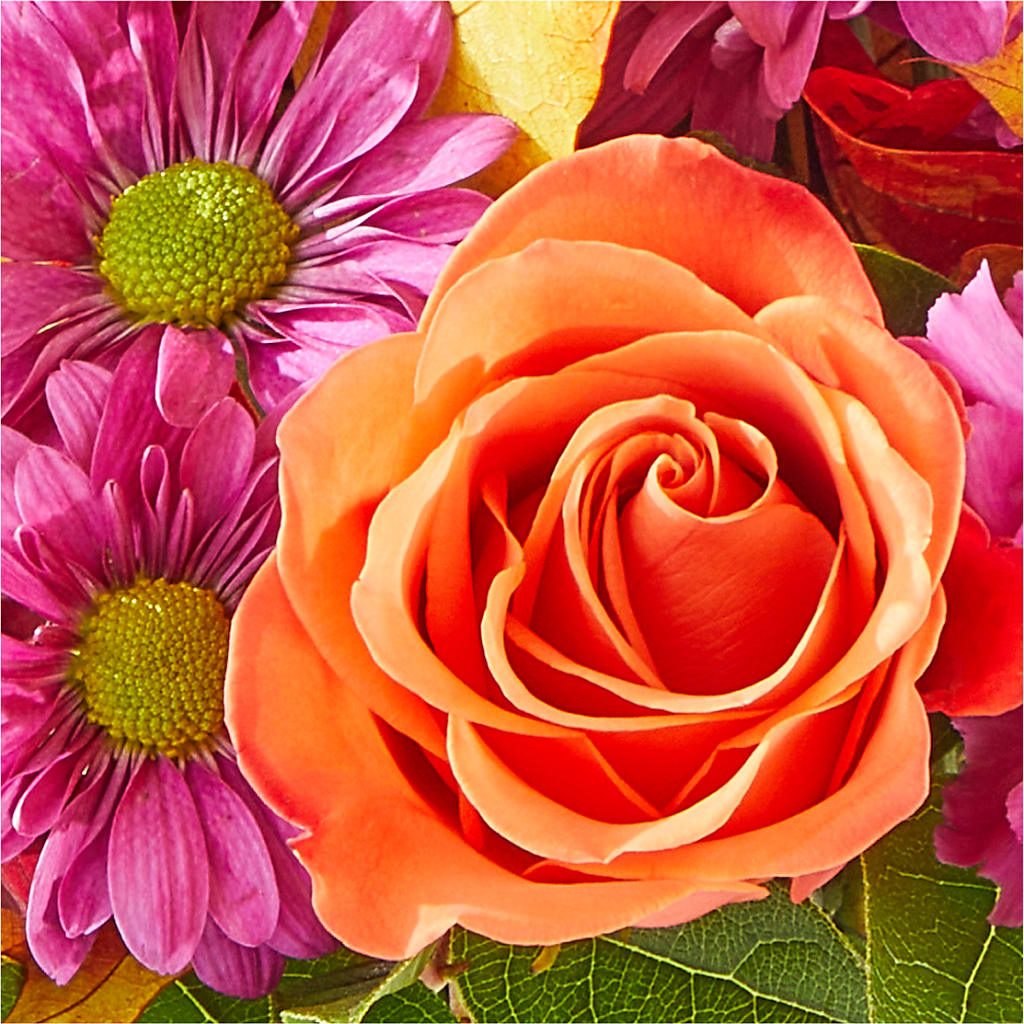 Mum's the Word Bouquet –  Castalia Flower Shoppe, Castalia OH