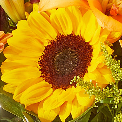 Seasons Change Bouquet –  Castalia Flower Shoppe, Castalia OH