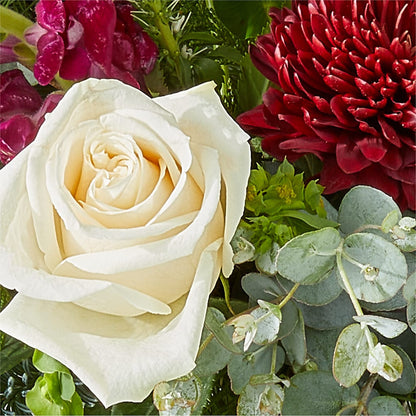 Cranberry Fizz Bouquet –  Castalia Flower Shoppe, Castalia OH