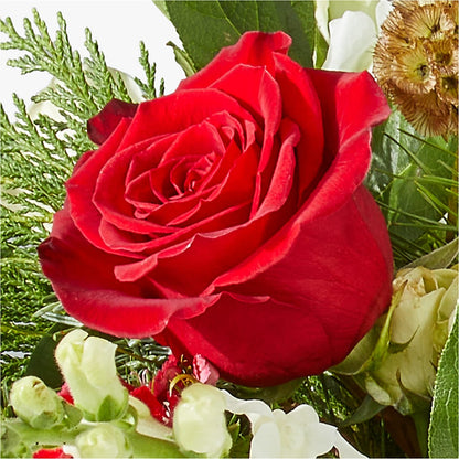Deck the Halls Bouquet –  Castalia Flower Shoppe, Castalia OH