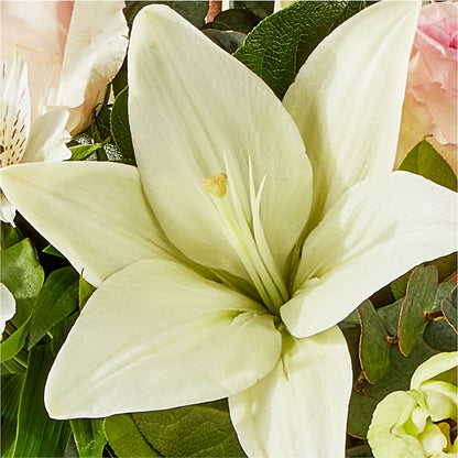 Ballet Slippers Bouquet –  Castalia Flower Shoppe, Castalia OH