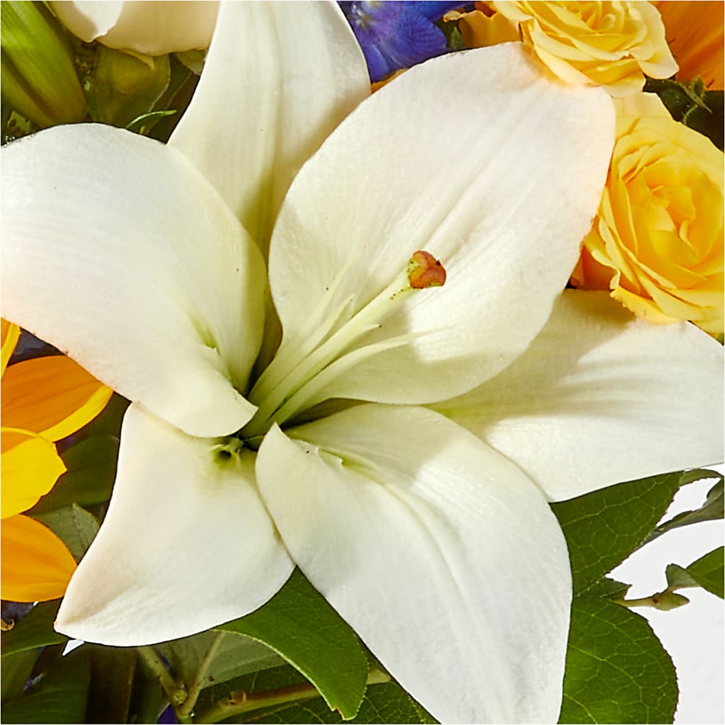 Wonderfully Sunny Bouquet –  Castalia Flower Shoppe, Castalia OH