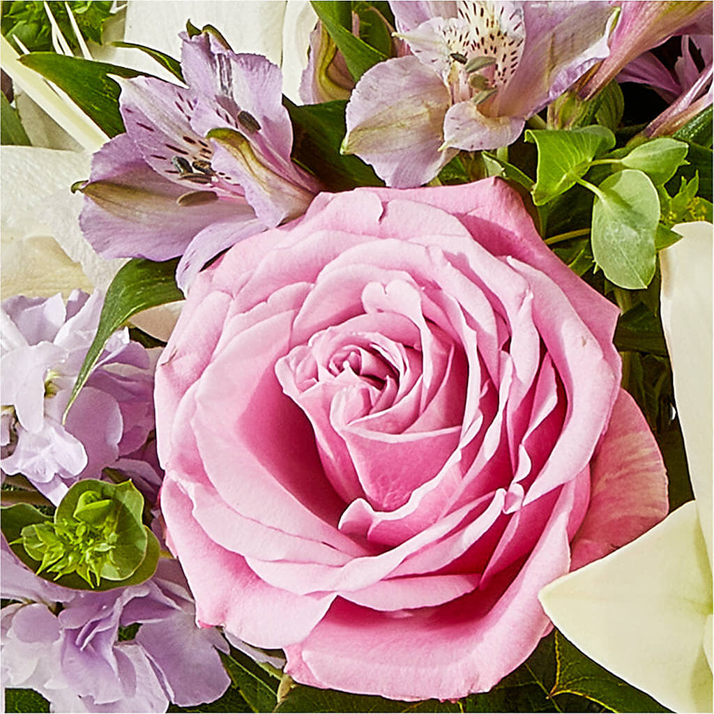Daydreamer Bouquet –  Castalia Flower Shoppe, Castalia OH